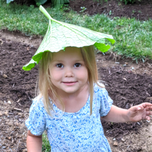 young girl with blue flower dress standing in her garden with a zucchini leaf on her head.