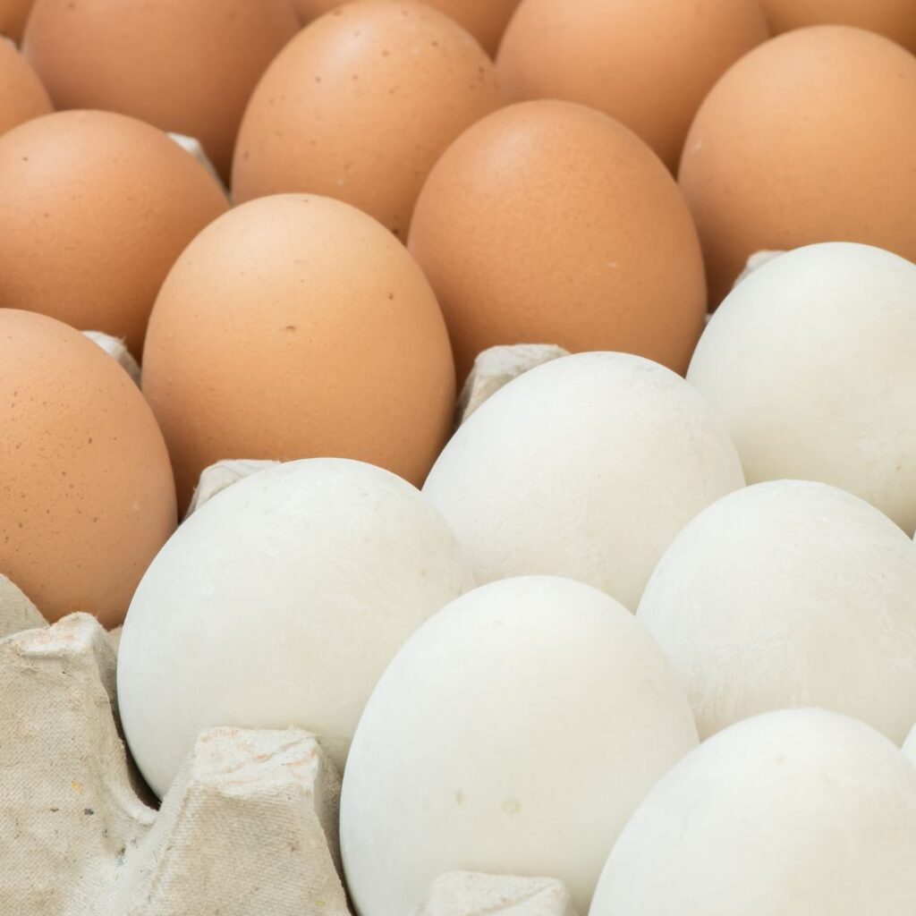 egg cartons with brown eggs and white eggs